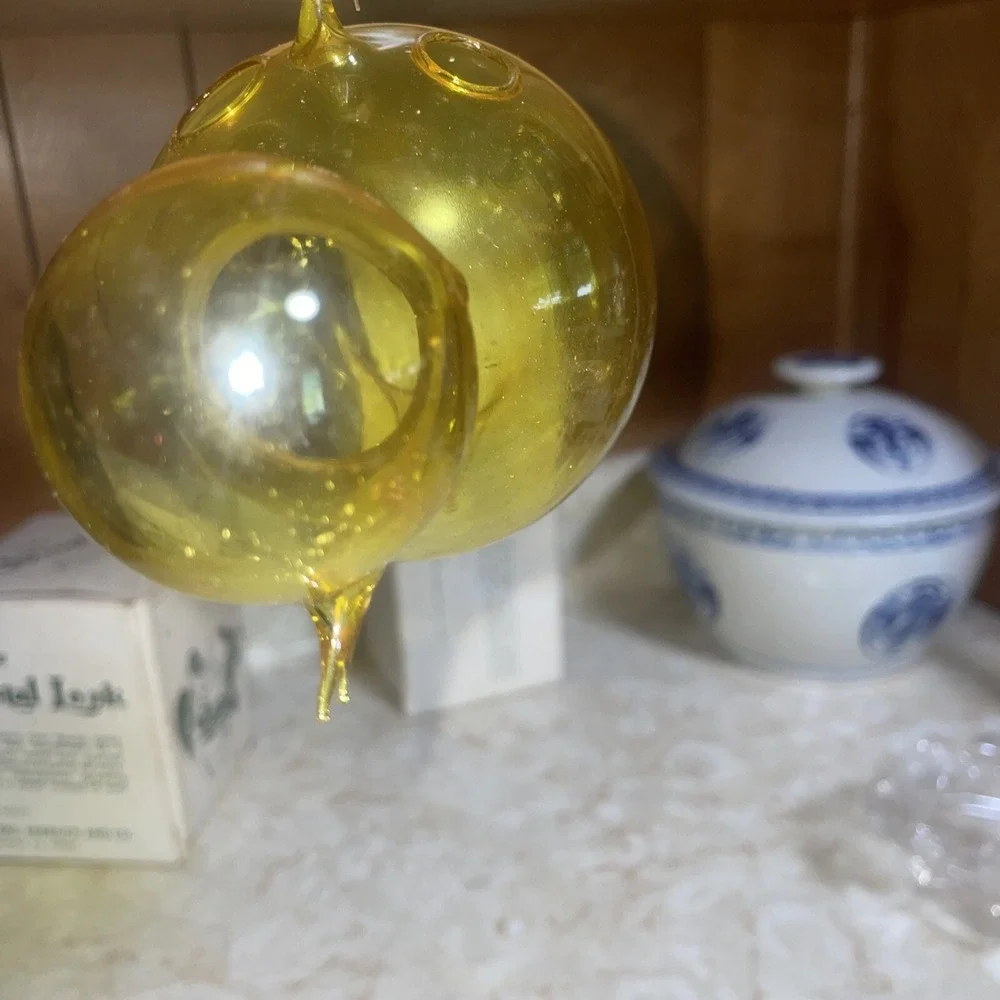 Vintage Hand Blown Glass‎ Hanging Plant Propagation Yellow Bird Wooden Beads